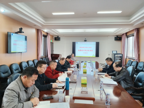 哈哈体育常德公司召开2022年度党委班子民主生活会